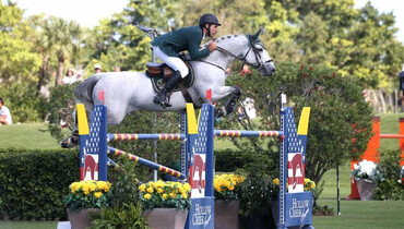 Fresh partnership claim Hollow Creek 1.50m Classic