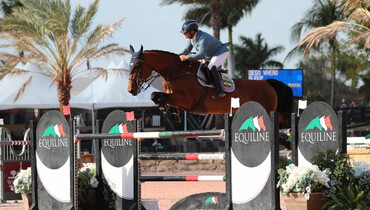 Diego Vivero wins on opening day of WEF 7 CSI5*