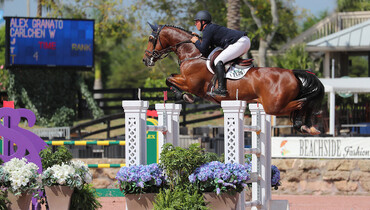 Alex Granato and Carlchen W take top place in Equinimity WEF Challenge Cup round 8