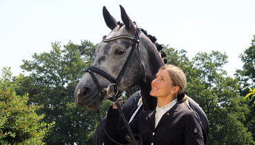 A day in the life of a Verden Auction Horse