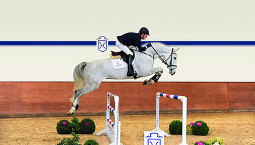 Holsteiner spring auction – international quality horses