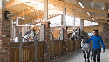 Behind the scenes at Gornall Equestrian