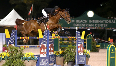 Lucas Porter tops Hollow Creek Farm 1.50m Classic Final