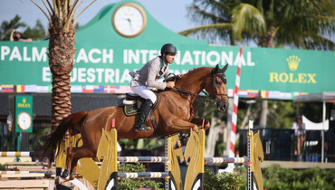 Brazil and Ireland pocket wins on Friday during final week of 2018 WEF