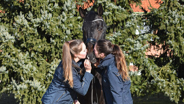 Friends for a lifetime from Verden