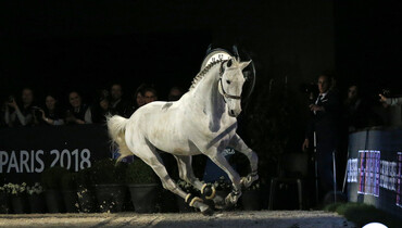Curtains close for Winningmood in Paris
