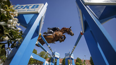 This weekend's CSI3* Grand Prix winners