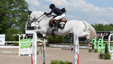 Engle and Indigo win at the Lexington International
