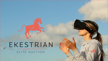 Discover the 2- and 3-year-old horses in virtual reality, and exceptional foals and embryos during the next Ekestrian Elite Auction on June 18th and 19th