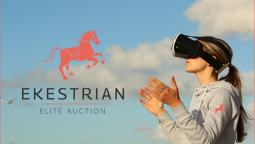 Discover the 2- and 3-year-old horses in virtual reality, and exceptional foals and embryos during the next Ekestrian Elite Auction on June 18th and 19th
