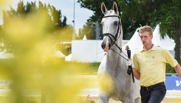 A summer in Verden