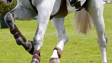 This weekend's CSI2* Grand Prix winners
