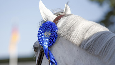This weekend's CSI2* Grand Prix winners