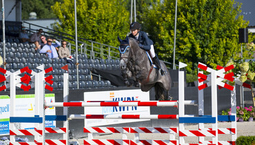Dutch Sport Horse Sales presents high-quality collection