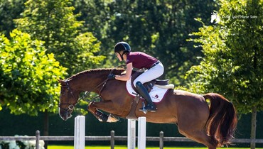 Dutch Sport Horse Sales proudly presents: Ici