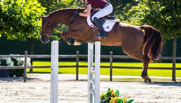 Dutch Sport Horse Sales proudly presents: Ici