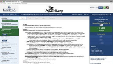 LIVE online auction of HippoChamp.com heralds new era