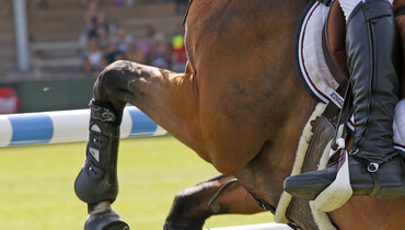 This weekend's CSI2* Grand Prix winners