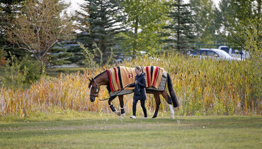 Out and about at Spruce Meadows, part two