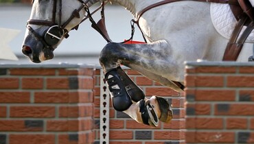 This weekend's CSI3* Grand Prix winners