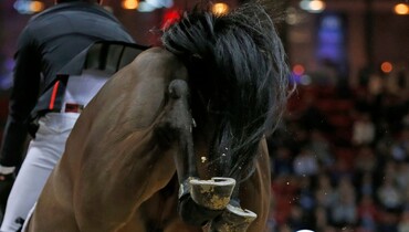 This weekend's CSI2* Grand Prix winners