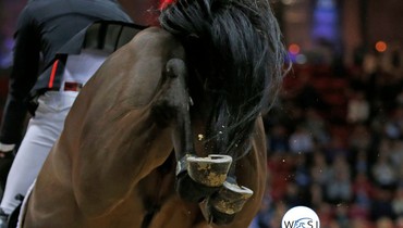 ​Sweden International Horse Show will be back in November 2021