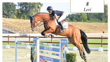 Star jumpers, made in Vechta
