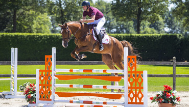 Dutch Sport Horse Sales proudly presents: Immanuel R