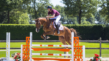 Dutch Sport Horse Sales proudly presents: Immanuel R