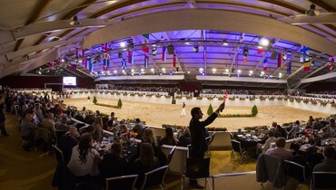 Good prices for well bred jumping foals at Limburg Foal Auction