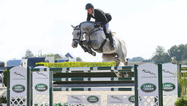 Holger Hetzel Sport Horse Sales presents: Man in Motion