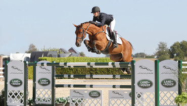Holger Hetzel Sport Horse Sales presents: Little Joe