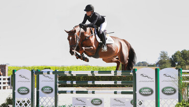 Holger Hetzel Sport Horse Sales presents: Fine Edition