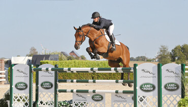 Holger Hetzel Sport Horse Sales presents: Hakuna Matata