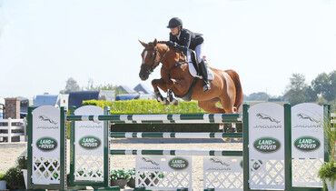Holger Hetzel Sport Horse Sales presents: She's the One