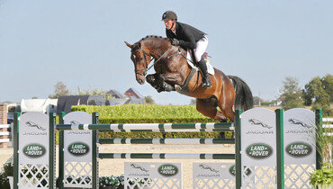 Holger Hetzel Sport Horse Sales presents: Addicted to you