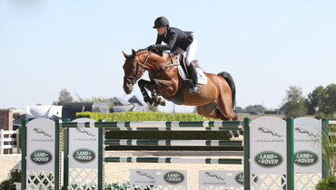 Holger Hetzel Sport Horse Sales presents: My Guy