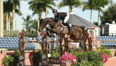 Shane Sweetnam sweeps Dover Saddlery Holiday & Horses Opener