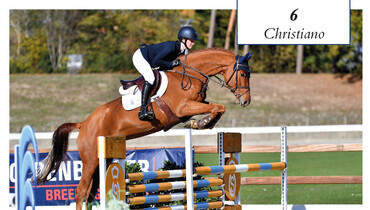 Global Masters in Vechta