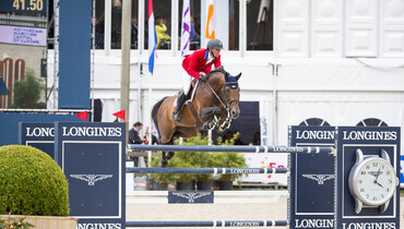 Ashford Farm’s Zerlin M sold to Home Farm Stallions in the UK