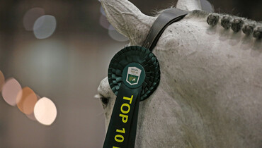 Highlights film from the Rolex IJRC Top 10 Final and the Rolex Grand Prix at CHI Geneva