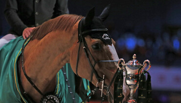 Images | Marcus Ehning's Major win in the Rolex Grand Prix of Geneva