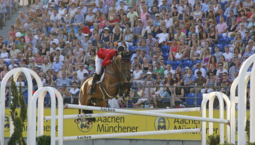 Jos Verlooy's success horse Domino retires from the sport