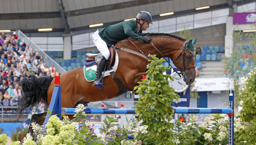 Denis Lynch’s All Star 5 retires from the sport