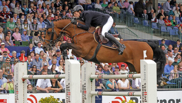 Chacco-Blue tops WBFSH Sire Ranking for jumping horses for a fifth consecutive year
