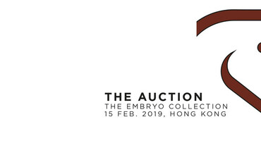 The Auction by ARQANA