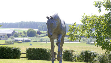 Visiting Ecuries d'Ecaussinnes, part two