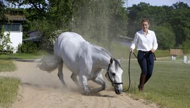 At home with Janne-Friederike Meyer-Zimmermann, part one