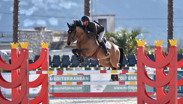 Nice Guy Z, Damocles From Second Life Z & Lady Angeles take the top honours in Young Horse Finals presented by Dammann Reitplatz u. Sportplatzbau GmbH