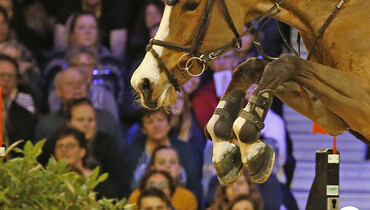 Jörne Sprehe wins the CSI3* Grand Prix of Offenburg